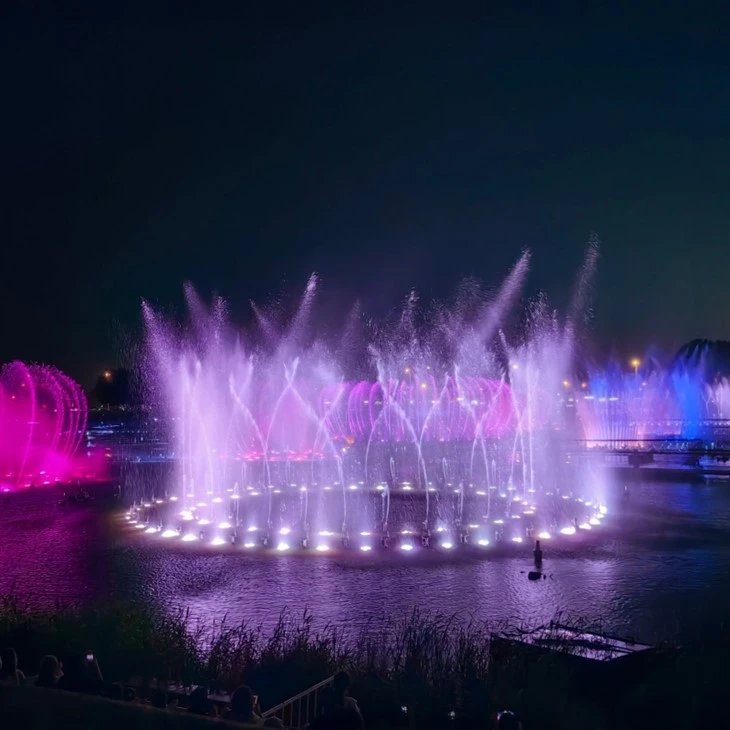 Large Musical Fountain price